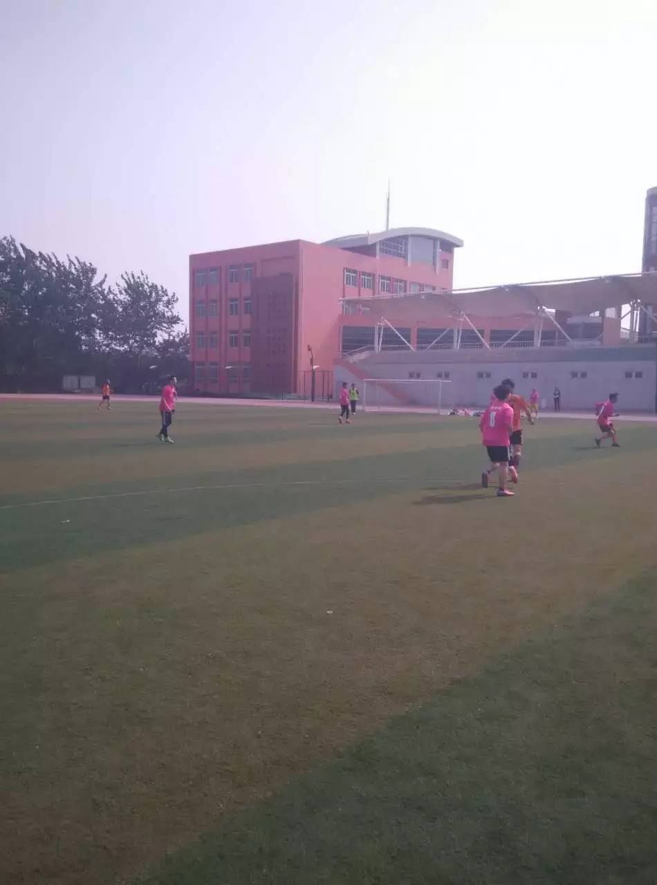 竞彩足球战报,战报主场5-0