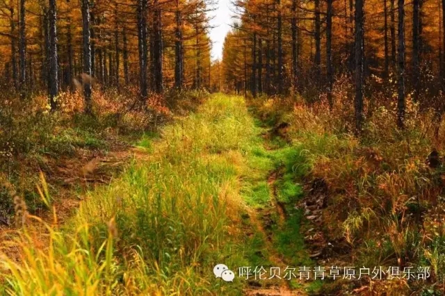 呼伦贝尔旅游自由行攻略,第一次呼伦贝尔自由行