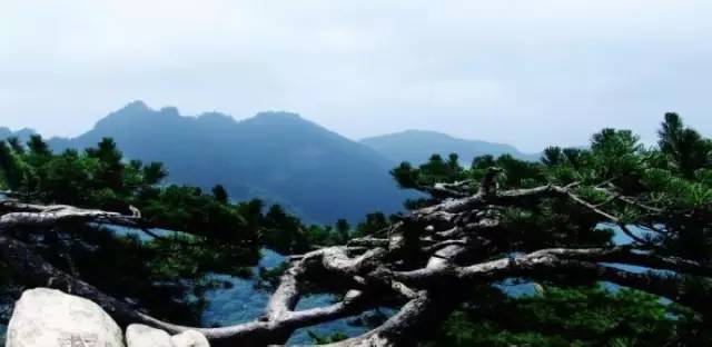 青岛海军节景点免费,青岛旅游景点免费政策