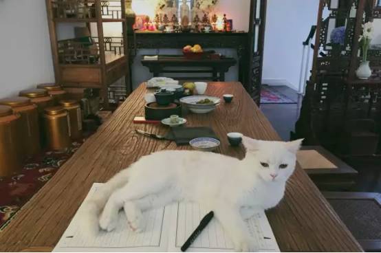 魔都5大绝美免费景点,魔都十大避暑景点