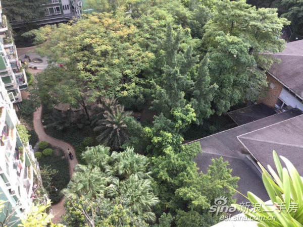 广州出租精装三房一厅,两房一厅小户型广州租房