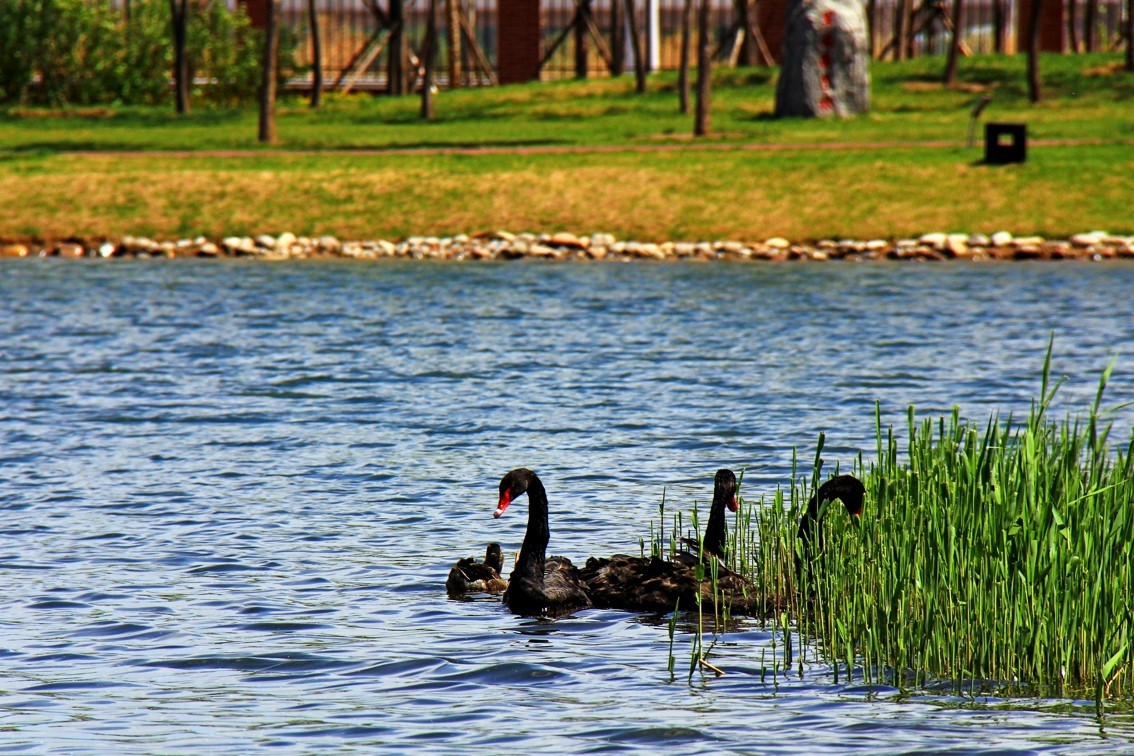 北京不只有高楼大厦还有烟火气,北京理工大学到底有多低调