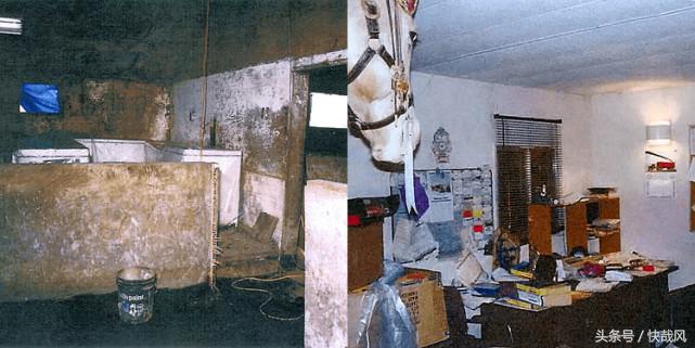 1980年恐怖连环杀人案,养猪场发现女尸