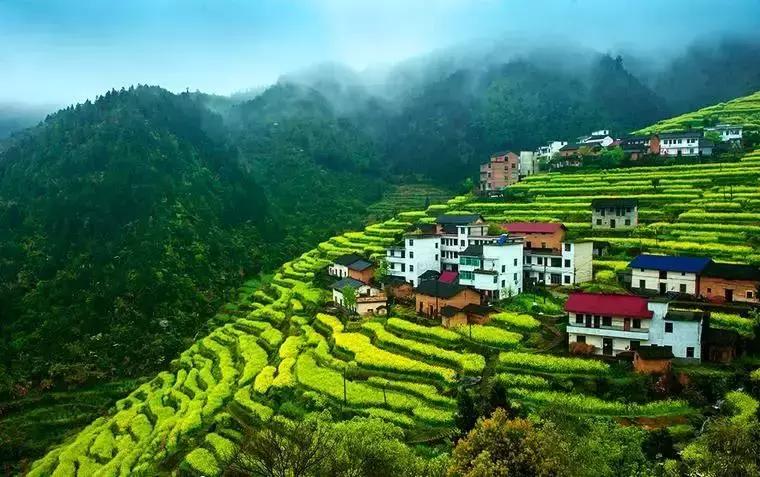 2019国内最美旅行时间表出炉,浙江最美旅游日历