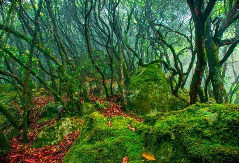 2019国内最美旅行时间表出炉,浙江最美旅游日历