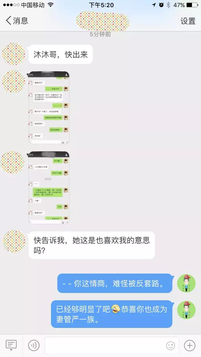 如果你们愿意这样去相爱，怎怕没结局？（我与木木的日常17）