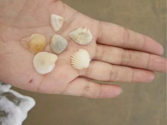 三亚吃喝玩乐亲身攻略