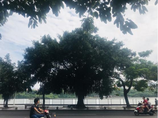 三亚吃喝玩乐亲身攻略