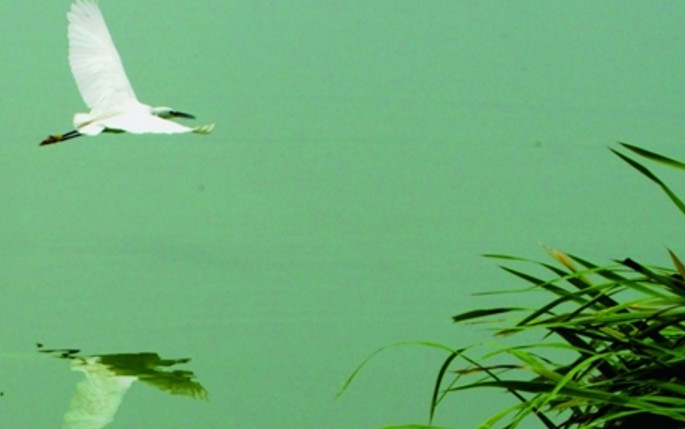 与上司说话不紧张的技巧,和领导说话紧张反应慢怎么办