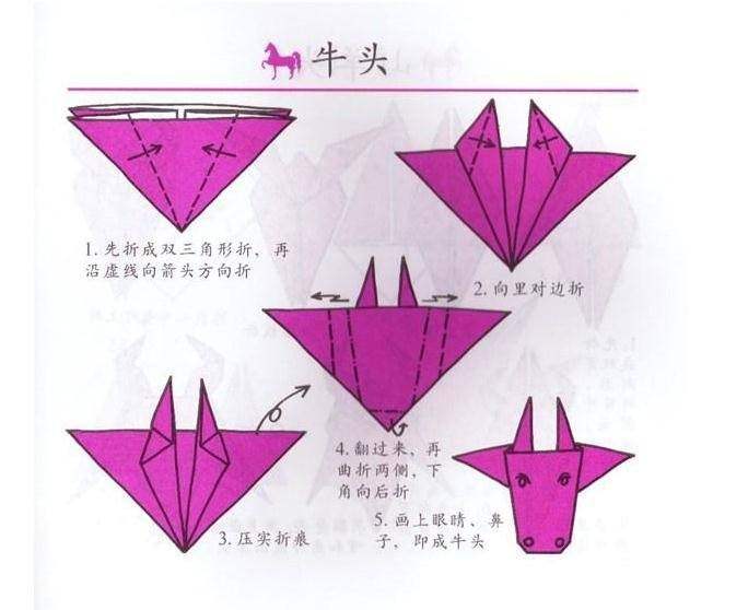 学各种各样的折纸,学折很多的手工