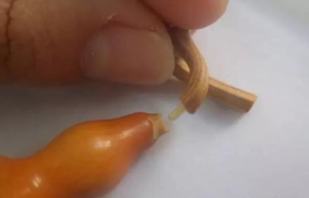 文玩葫芦没龙头怎么装饰,文玩葫芦龙头断了怎么办