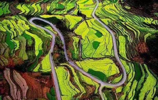 2019国内最美旅行时间表出炉,浙江最美旅游日历