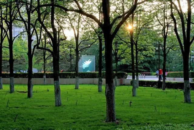 北京不只有高楼大厦还有烟火气,北京理工大学到底有多低调