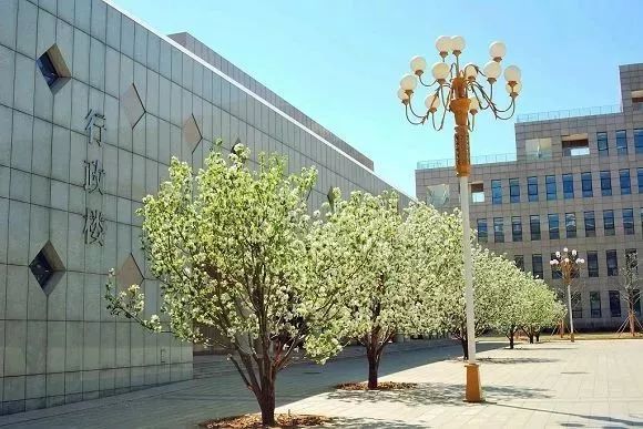 北京不只有高楼大厦还有烟火气,北京理工大学到底有多低调