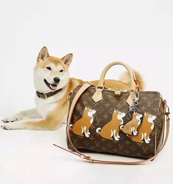 鐩灙鐙楀甫gif,鐩灙鐙楀憜澶у浘