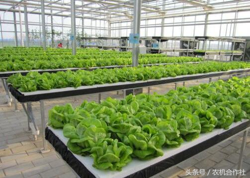 养殖合作社补贴申请,合作社补贴查询