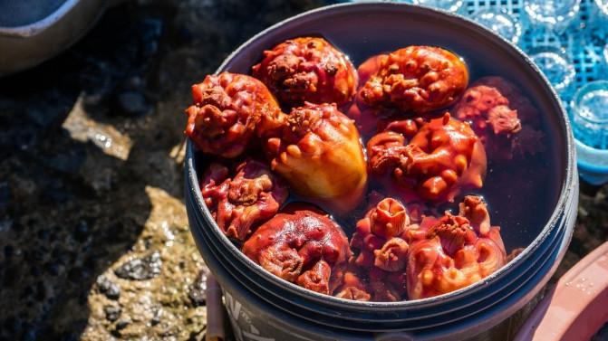 韩国济州岛攻略冬天,韩国济州岛值得去的地方