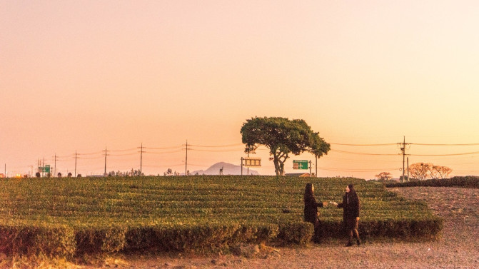 韩国济州岛攻略冬天,韩国济州岛值得去的地方