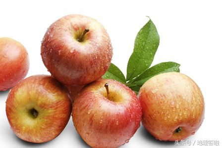 山东农产品特产前十名排行榜,地理答案山东