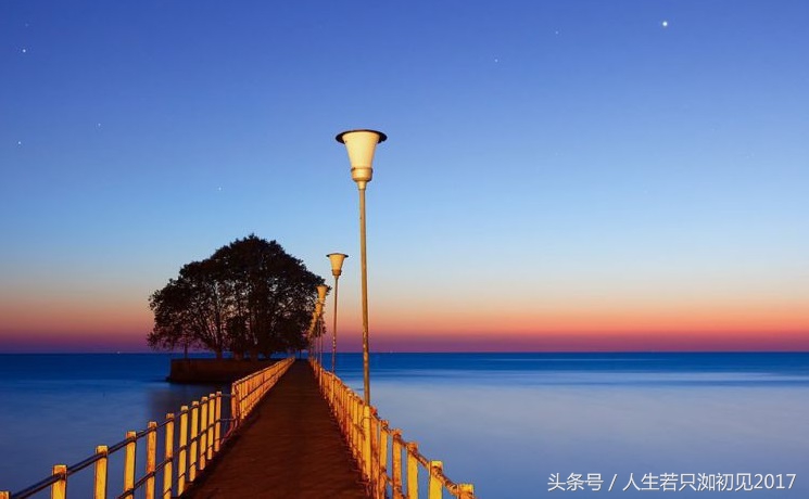 创业商机网免费加盟,下一个创业风口商机