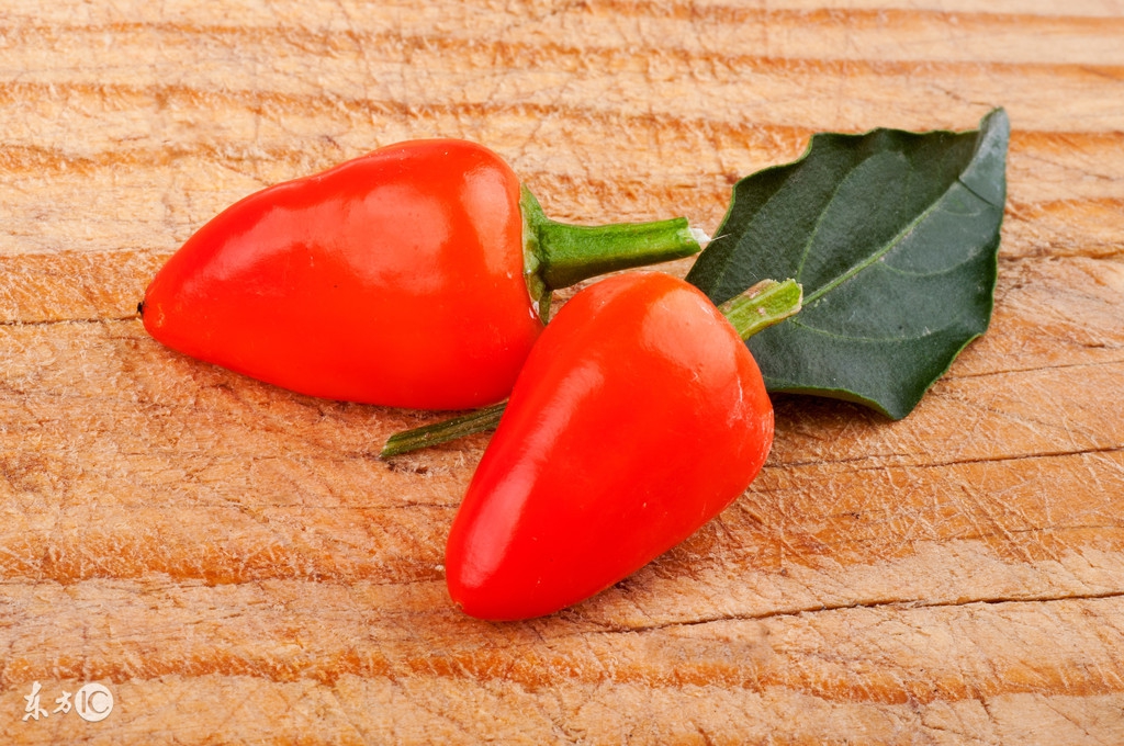 断食21天减肥法,21天断食减肥法