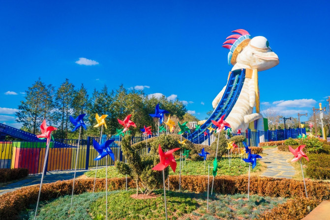 韩国济州岛攻略冬天,韩国济州岛值得去的地方