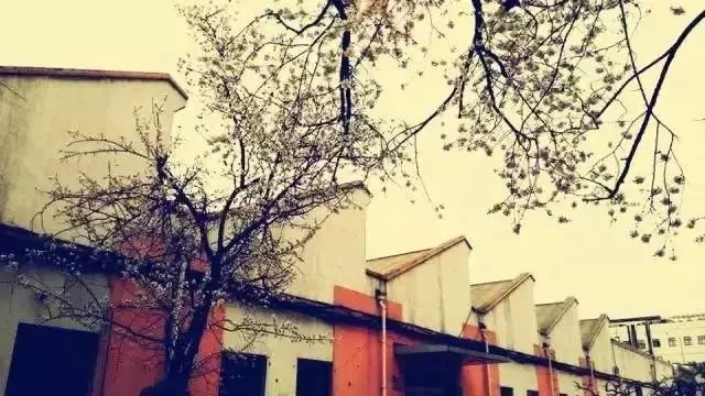 酒仙桥最新消息,酒仙桥最近新消息