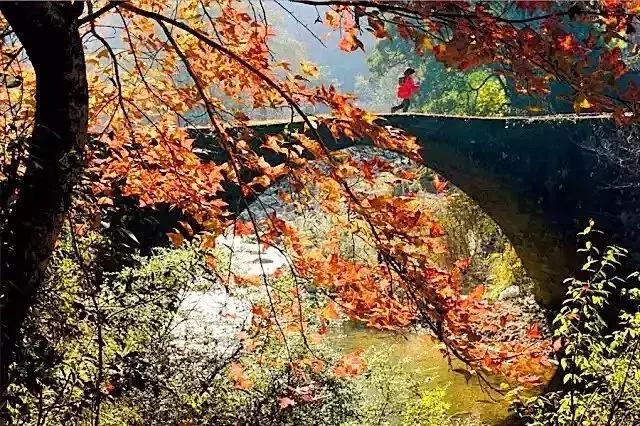 2019国内最美旅行时间表出炉,浙江最美旅游日历