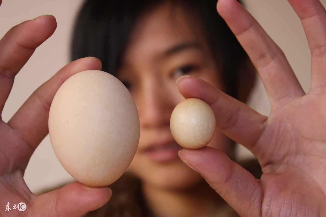 excel图标集,Excel图标集原理