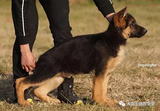 寰峰浗stg44绐佸嚮姝ユ灙,寰峰浗sg4椹厠