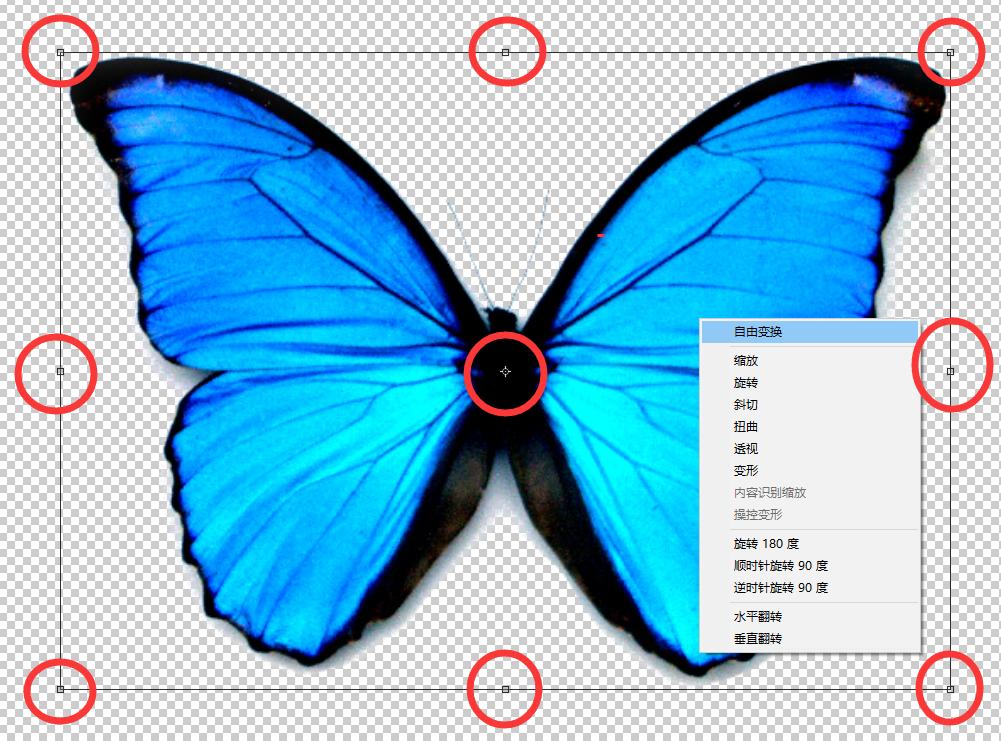 photoshop如何将变形照片调正,photoshop如何把图片缩小不变形