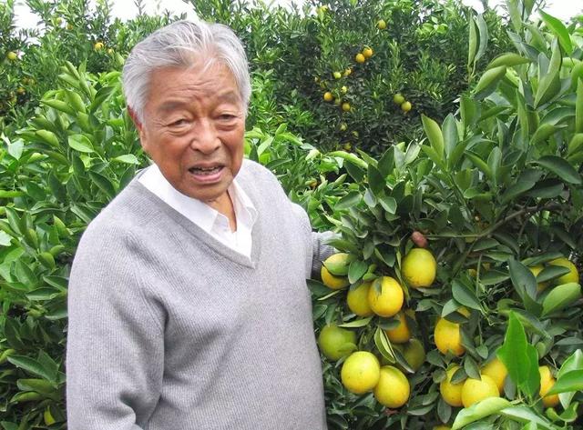 十个创业九个死怎么说,十个创业九个死哪些行业是重灾区