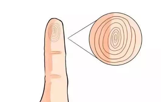 关于手纹的秘密,手纹密码