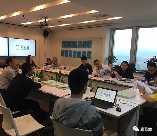 壹基金主要成就,壹基金的基本情况