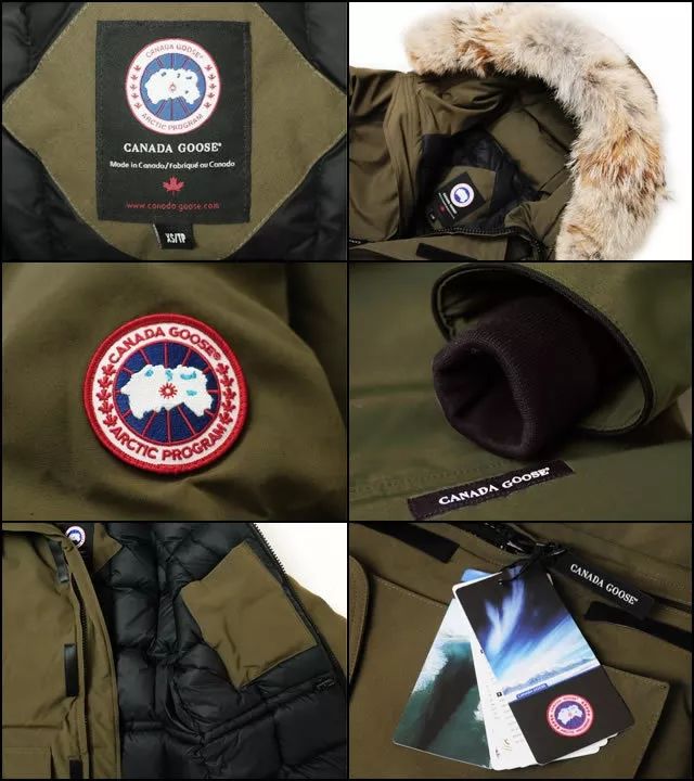 怎么分辨真假moncler羽绒服漫画图,monlambo羽绒服怎么辨别真假