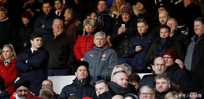 树倒猢狲散下场,树倒猢狲散分道扬镳