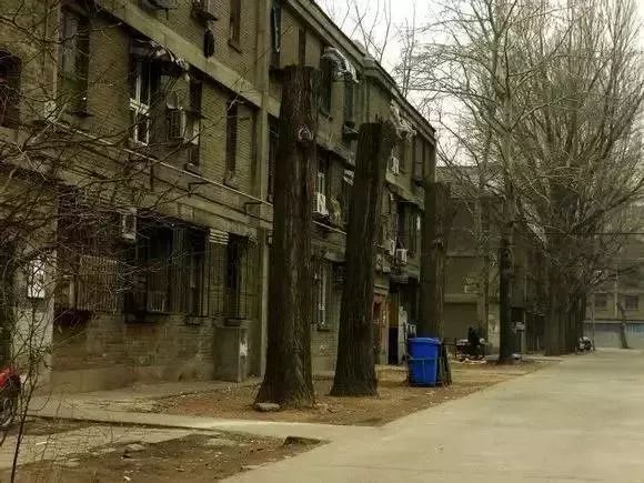 酒仙桥最新消息,酒仙桥最近新消息