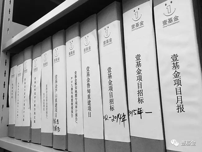 壹基金主要成就,壹基金的基本情况