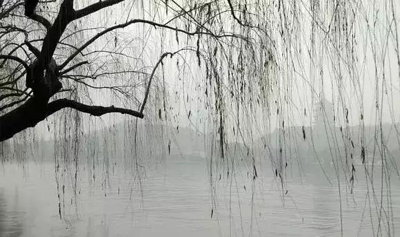 南方冬季取暖有什么好办法,北方取暖最新办法