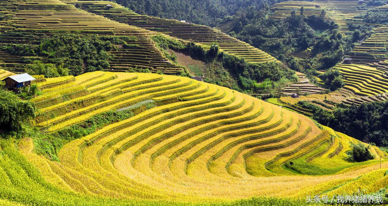 农业政府补贴项目申报流程,农业综合开发农业部项目申报指南