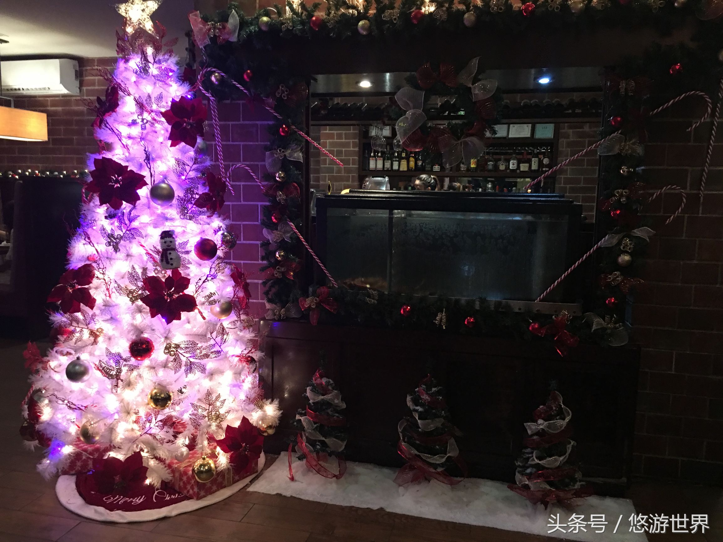 北京去塞班旅游攻略,塞班旅游攻略拿潜水证