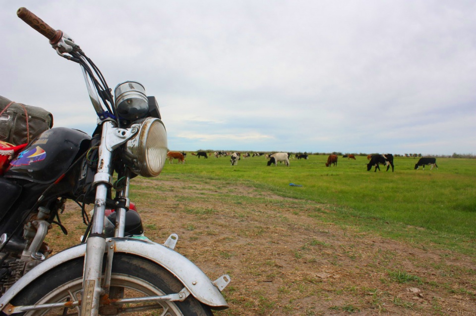 观看俄罗斯舞蹈完整版,满洲里俄罗斯歌舞表演值得看吗
