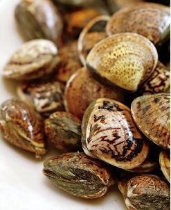 过年回家带海鲜怎么带,过年送海鲜干货怎么样