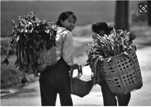 回味80后的童年乡村实景,怀念80年代乡村视频