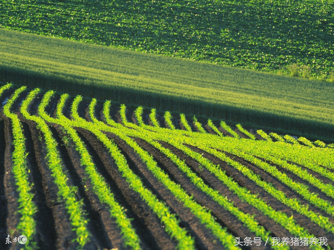 农业政府补贴项目申报流程,农业综合开发农业部项目申报指南