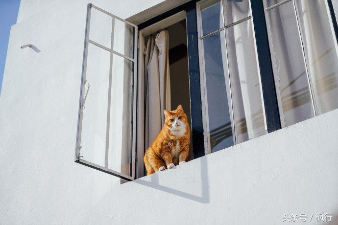 日本第一正门神户攻略,日本除了寿司还有啥好吃的