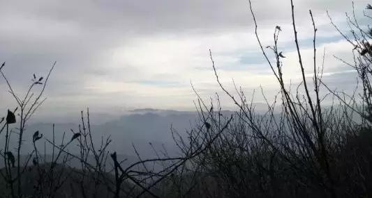 纳兰词最凄美的句子,纳兰性德凄美词