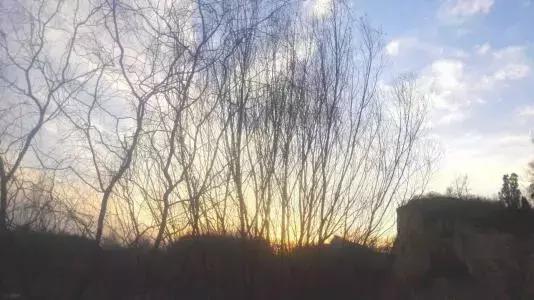 纳兰词最凄美的句子,纳兰性德凄美词