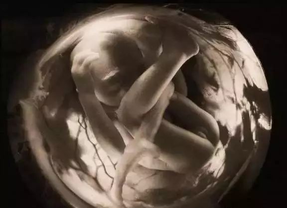 月安馨小课堂“羊水”为什么叫羊水呢？