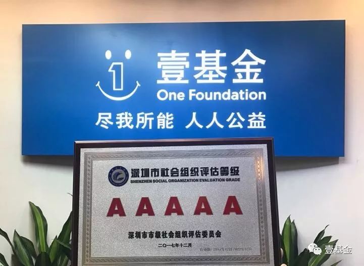 壹基金主要成就,壹基金的基本情况